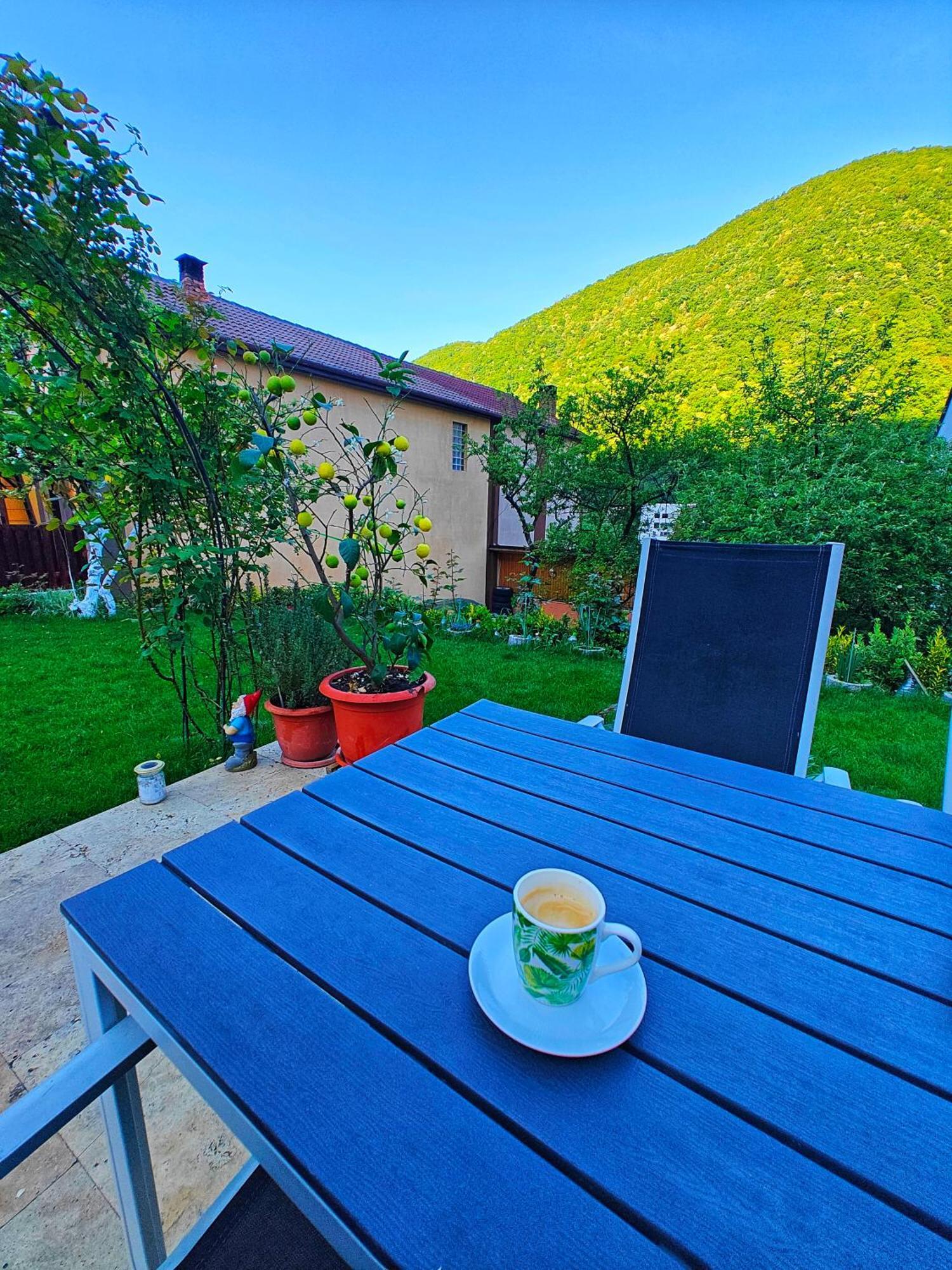 Apartament Casa Miclau Băile Herculane Zewnętrze zdjęcie