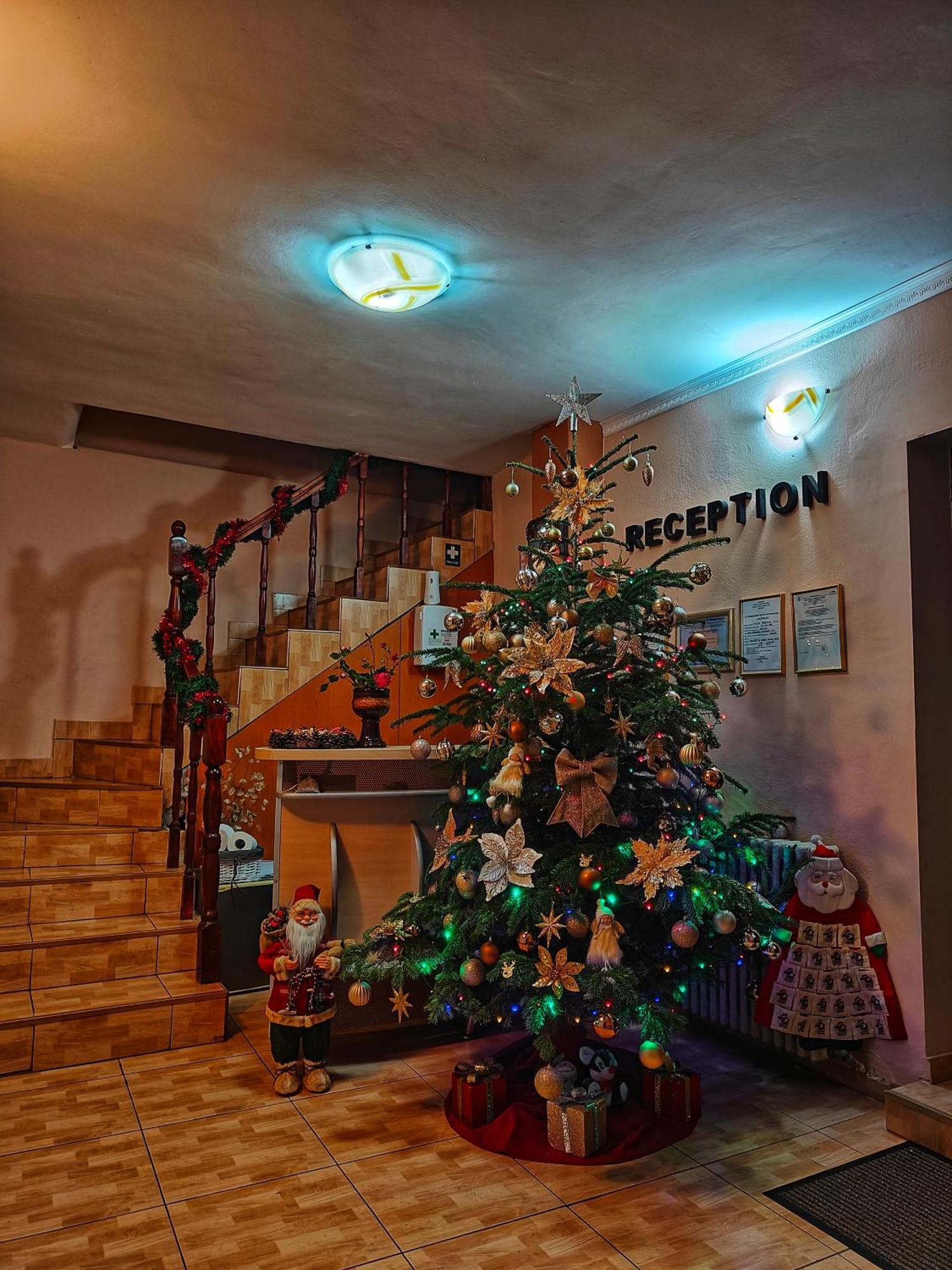 Apartament Casa Miclau Băile Herculane Zewnętrze zdjęcie