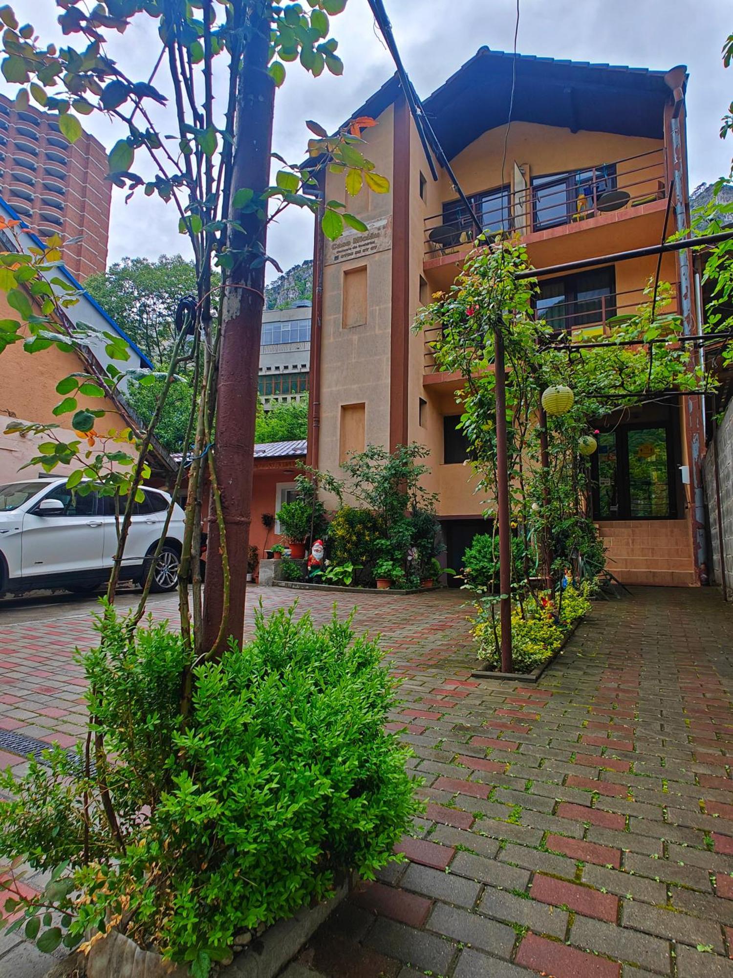 Apartament Casa Miclau Băile Herculane Zewnętrze zdjęcie