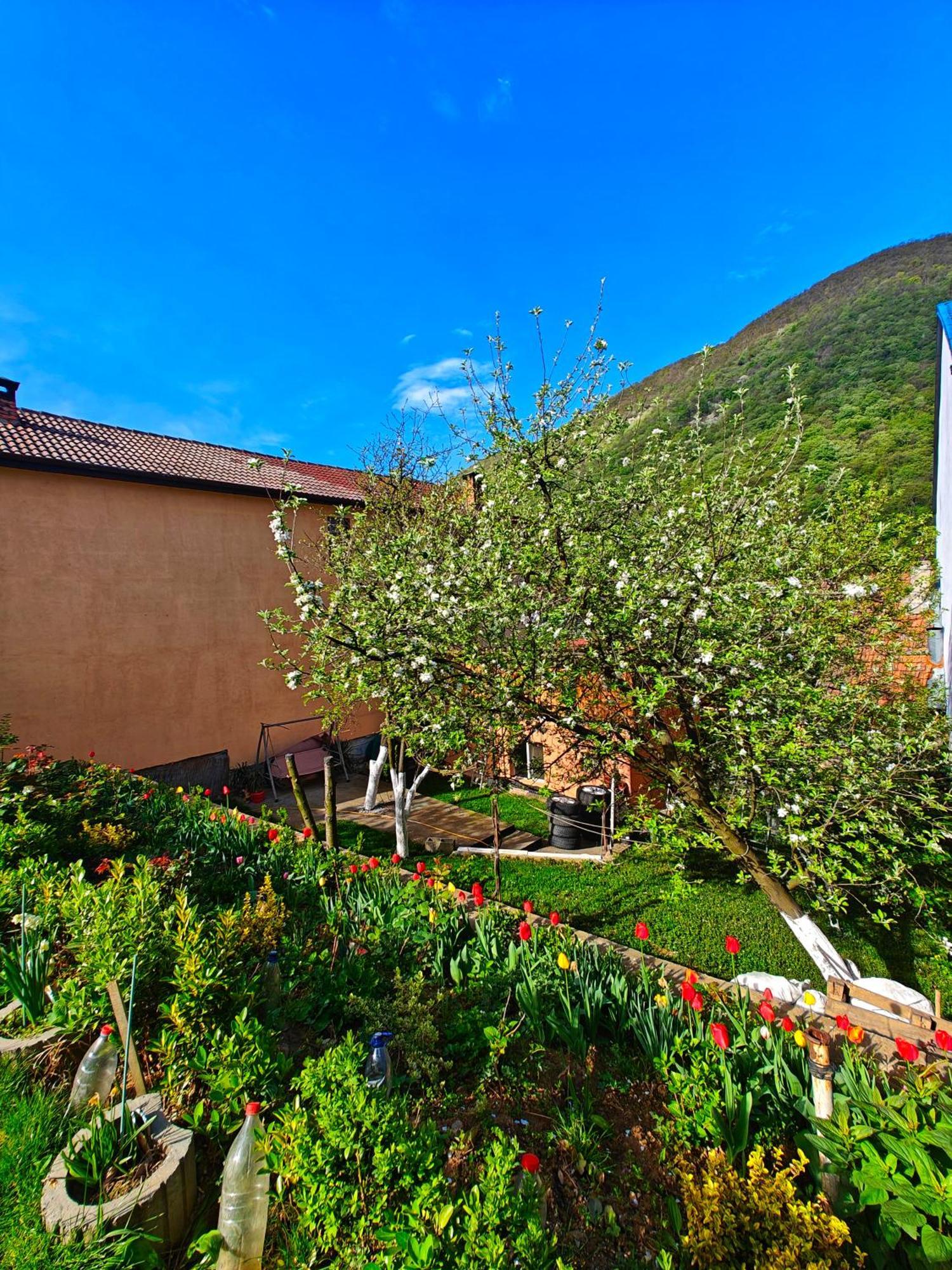 Apartament Casa Miclau Băile Herculane Zewnętrze zdjęcie
