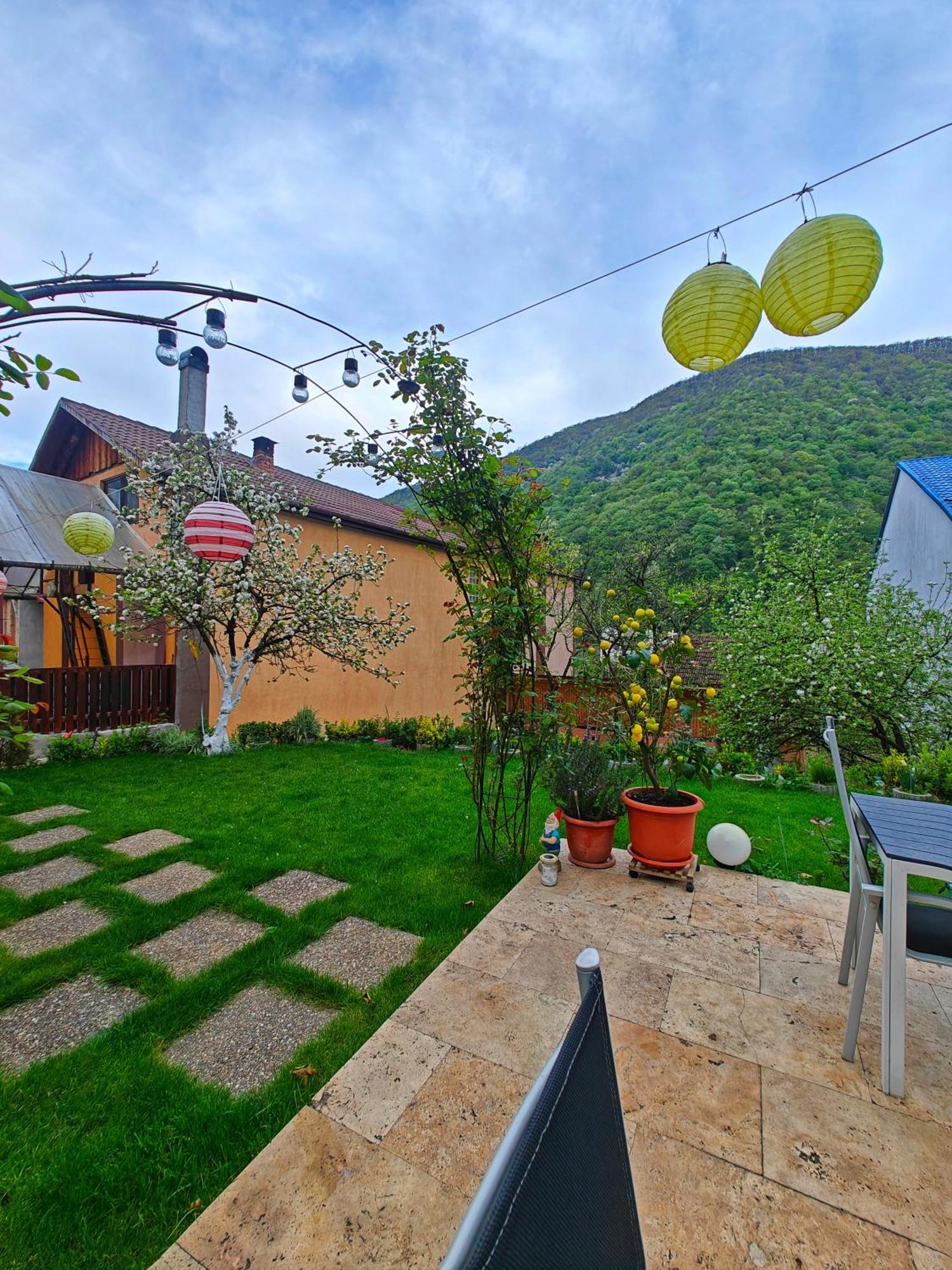 Apartament Casa Miclau Băile Herculane Zewnętrze zdjęcie