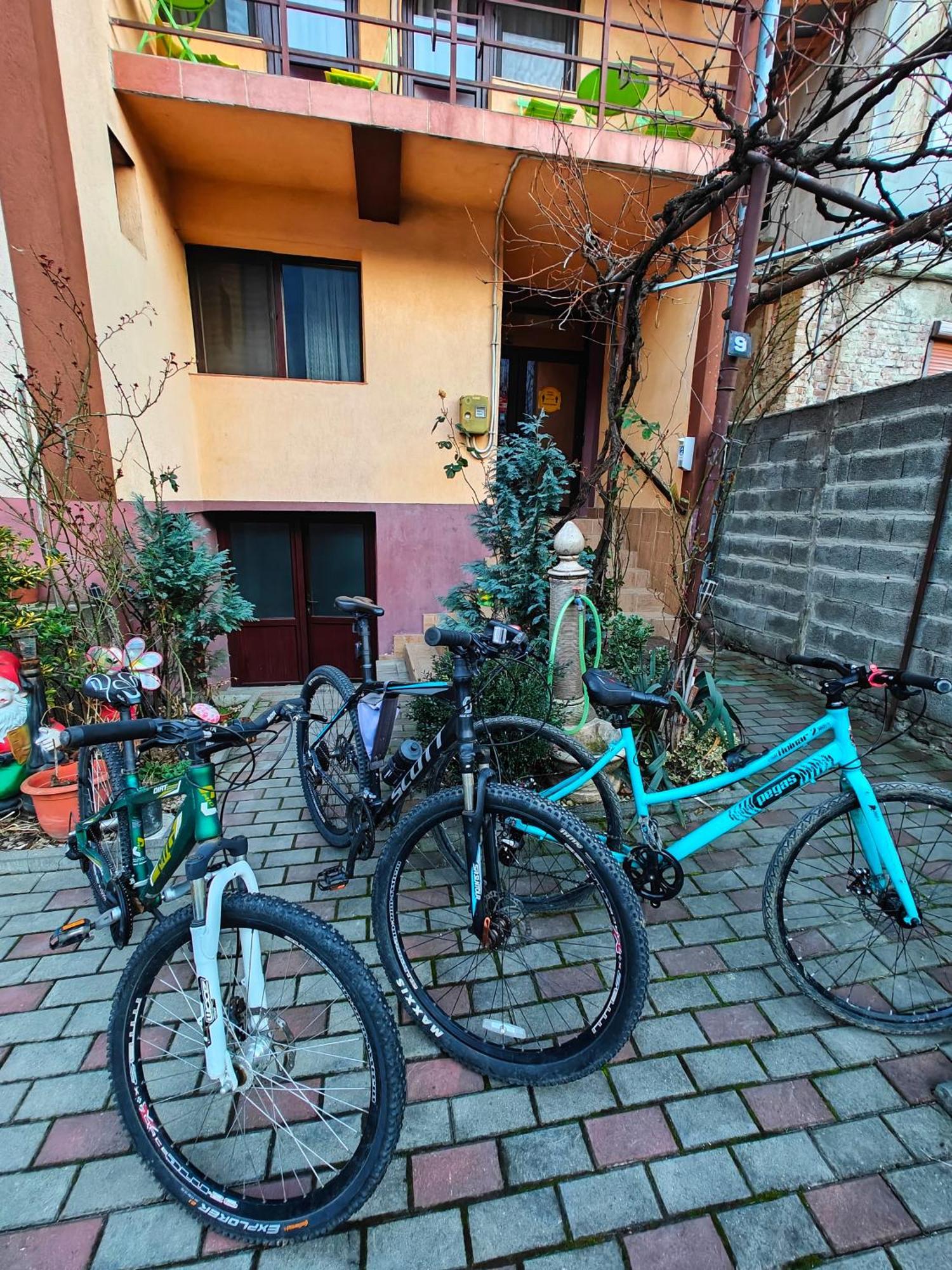 Apartament Casa Miclau Băile Herculane Zewnętrze zdjęcie