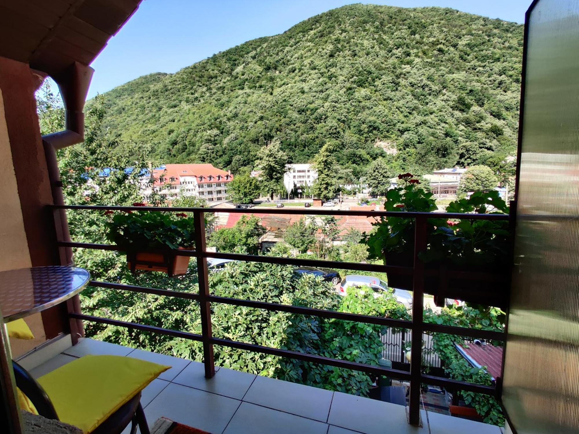 Apartament Casa Miclau Băile Herculane Pokój zdjęcie